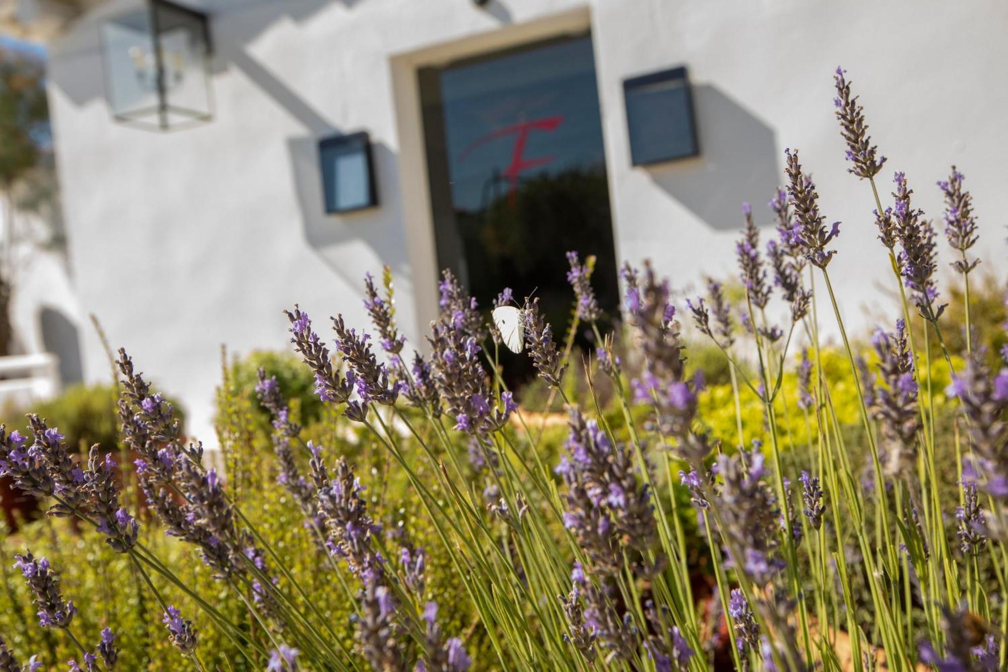 Mas De La Fouque - Hotel & Spa Saintes-Maries-de-La-Mer Exterior foto